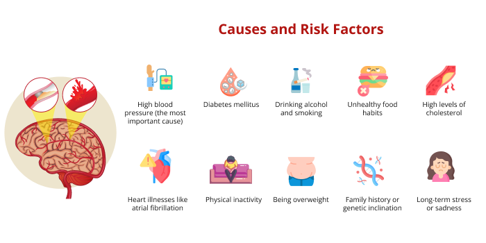 Causes and Risk Factors