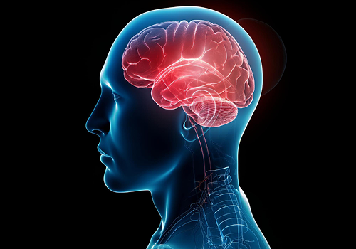 What is World Meningitis Day