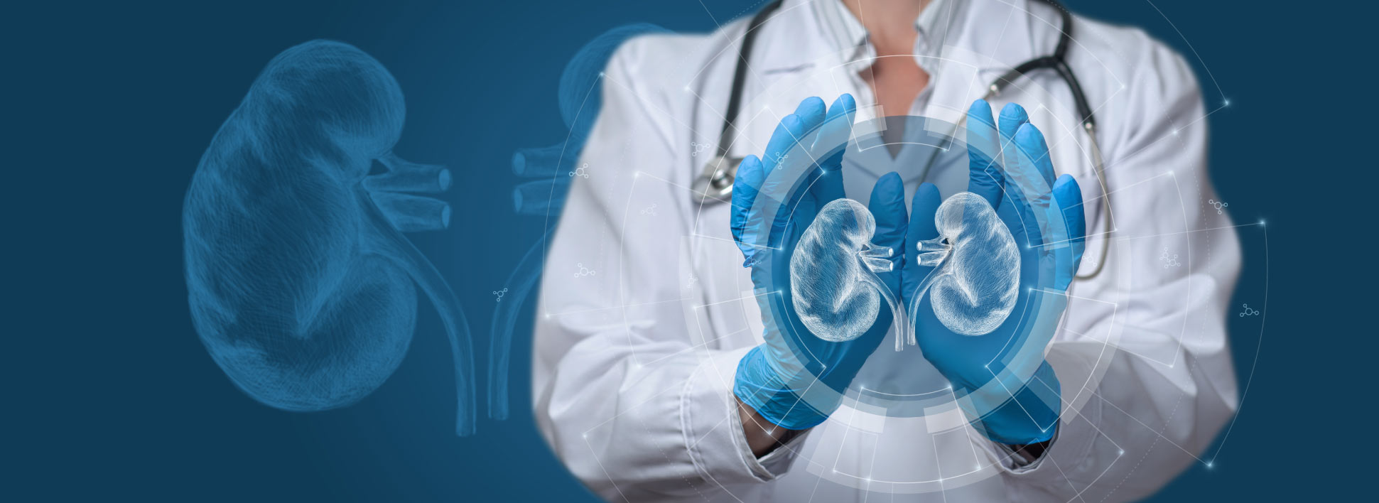 Nephrology
