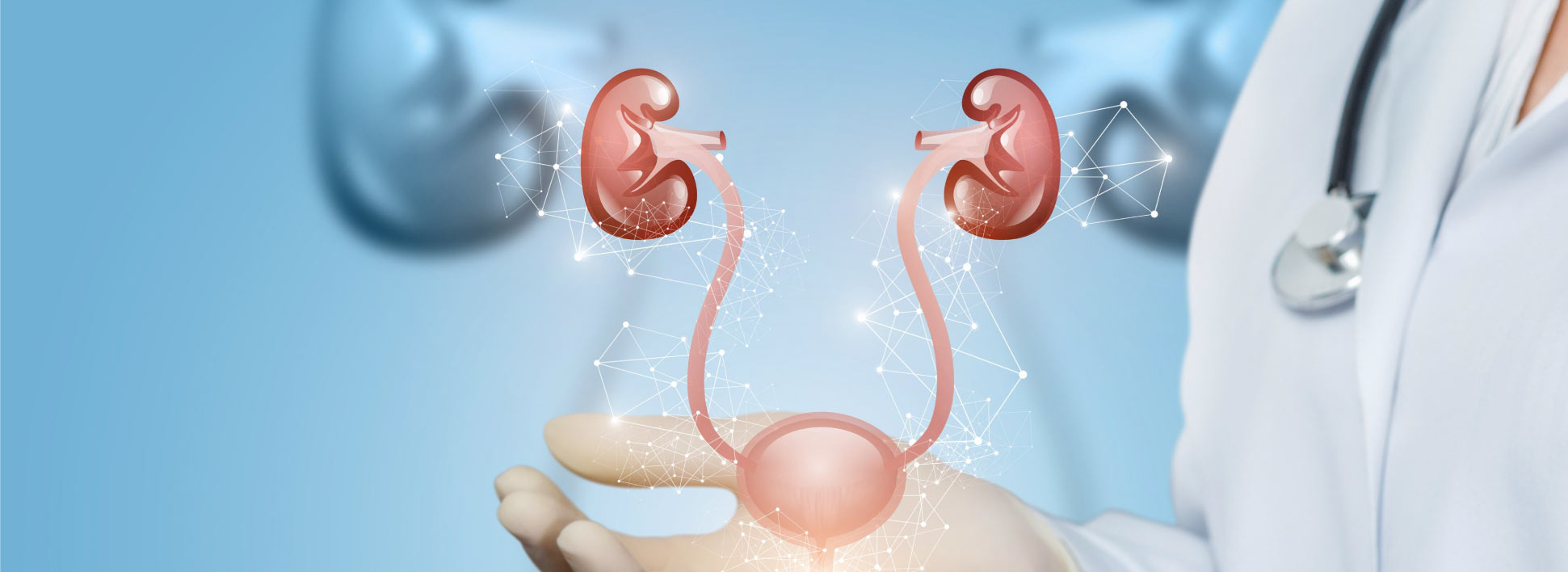 Urology